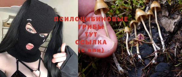 прущая мука Михайловск