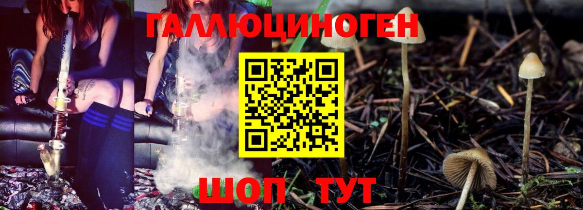 Галлюциногенные грибы GOLDEN TEACHER Приморско-Ахтарск