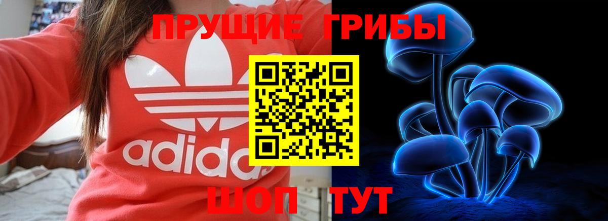 Псилоцибиновые грибы Psilocybine cubensis  Вход с VPN  Приморско-Ахтарск 